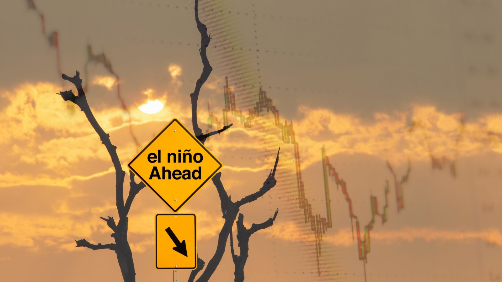 IBC Highlights Business Readiness as El Niño Risks Build