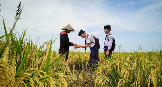 Indonesia Needs Stronger Businesses to Create More Jobs